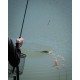 Pluta Pellet Waggler Matrix - 12mm Foam Pellet Waggler 10g Pluta Pellet Waggler Matrix - 12mm Foam Pellet Waggler 10g
